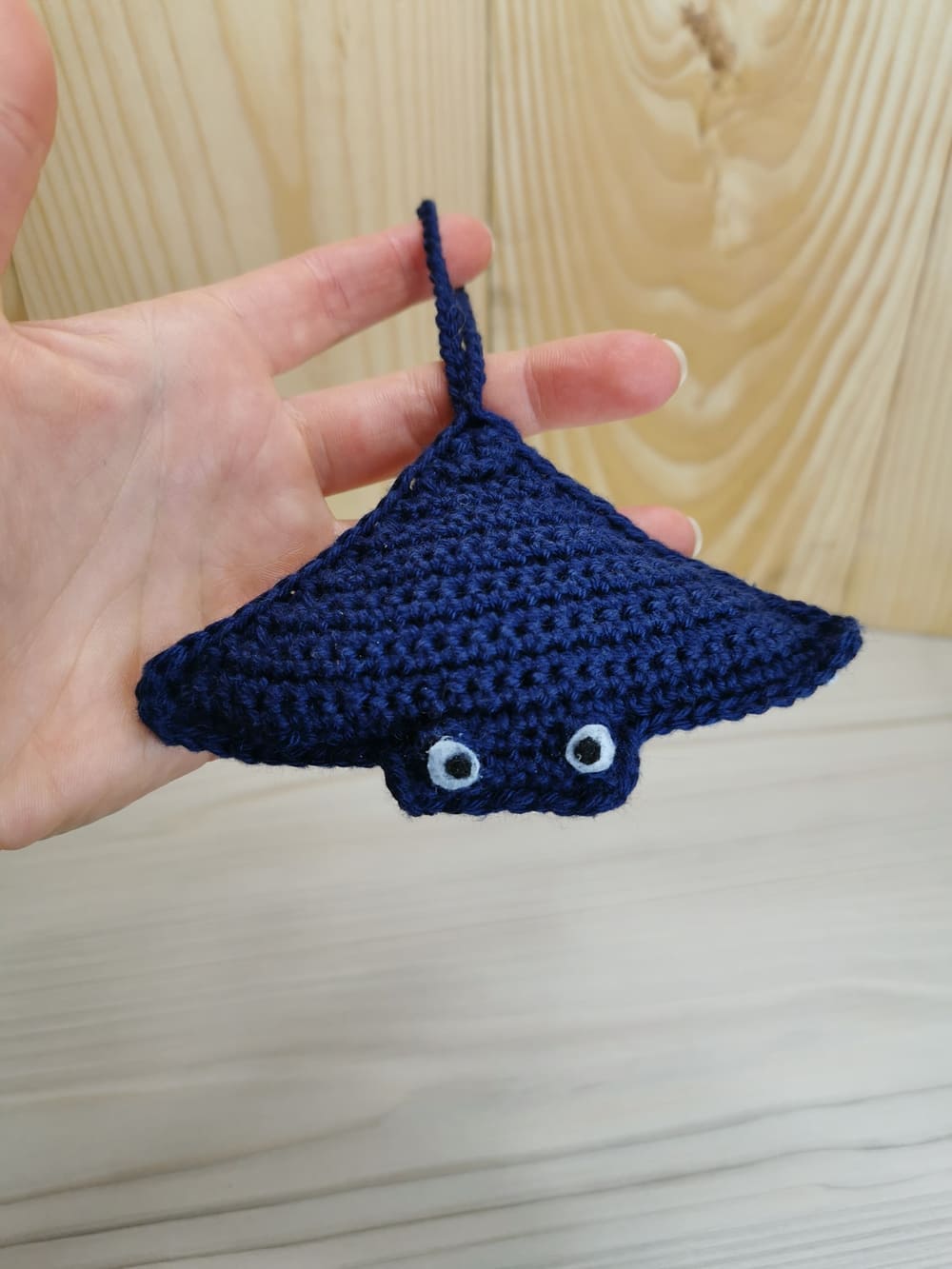 Raie manta – Image 3