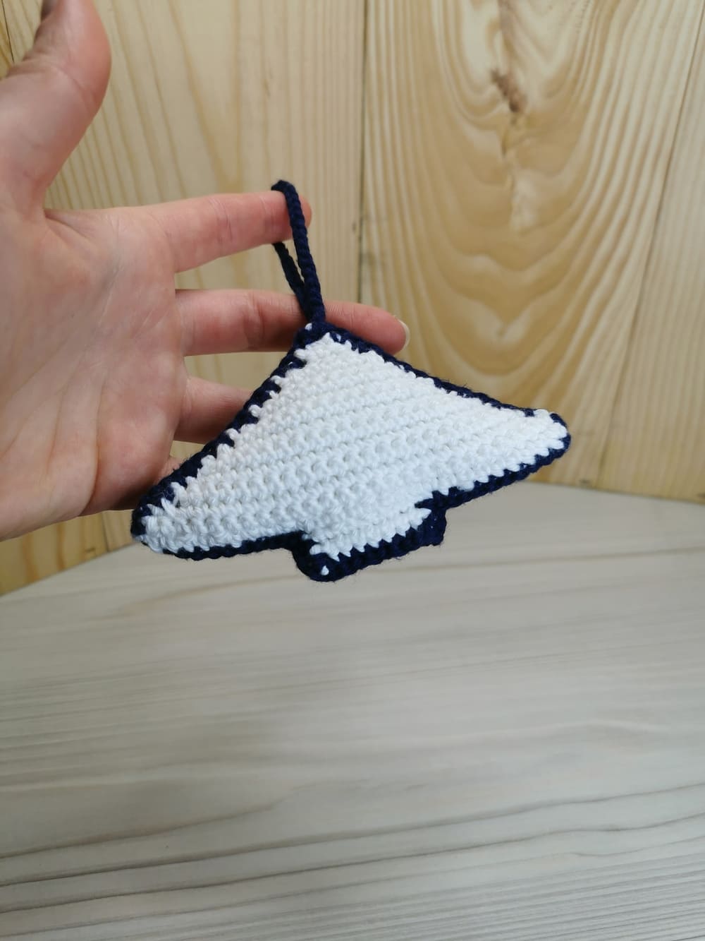 Raie manta – Image 2