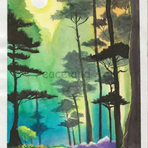 Forêt enchantée