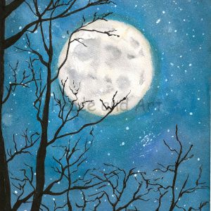 Lune d'hiver
